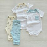 Set de Regalo, 4 Pzas Peces y Cebras